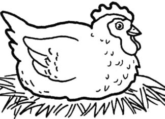 hen with eggs picture to print