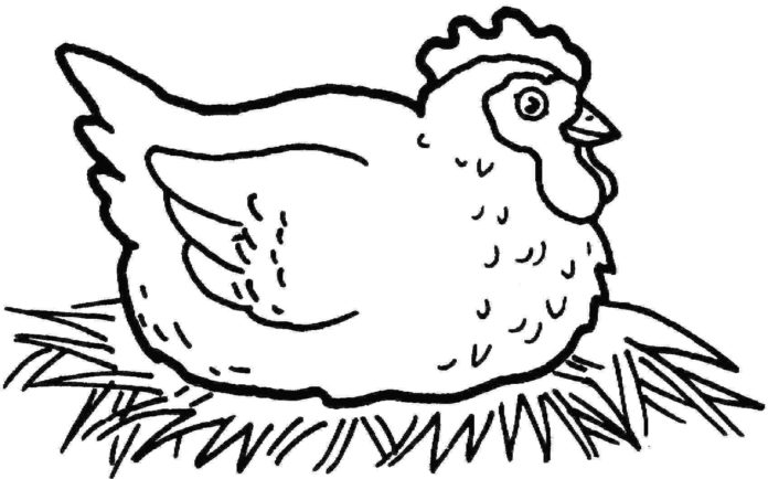 høne med æg til udskrivning, billede til udskrivning