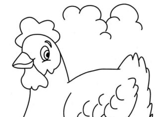 billede af høns og kyllinger til udskrivning