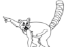 Lemur aus einem Märchenbild zum Ausdrucken