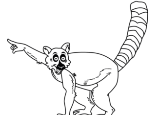 Lemur aus einem Märchenbild zum Ausdrucken