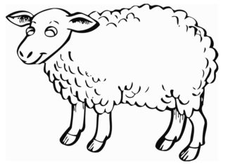 image imprimable de mouton