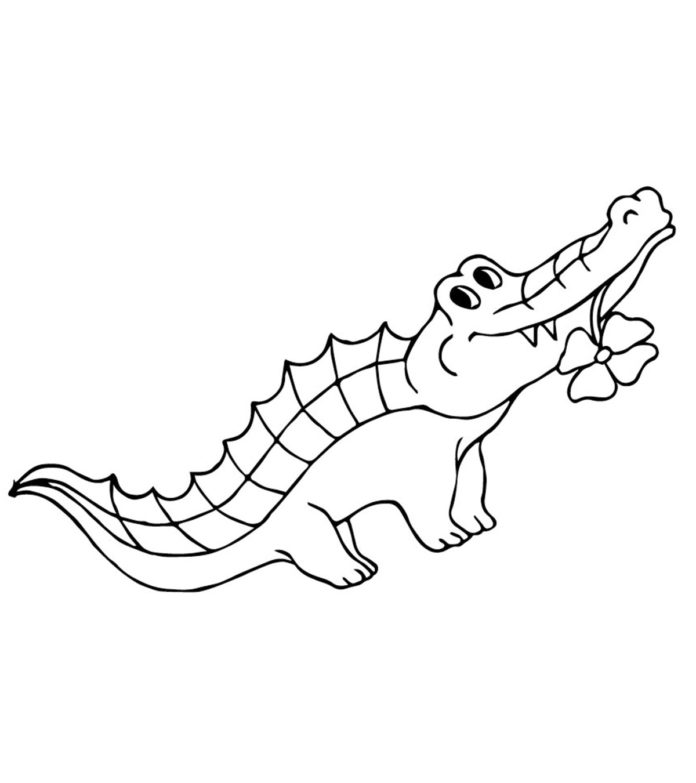 obrázek aligátora k vytisknutí