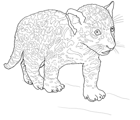 mały jaguar do drukowania