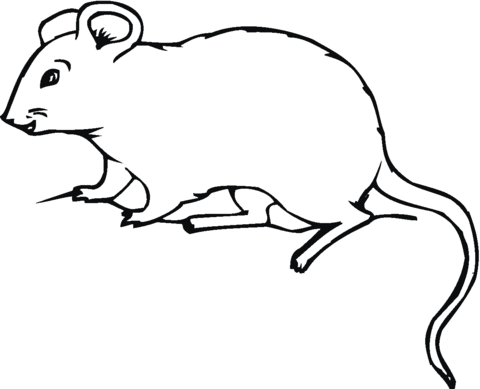 imagen imprimible del ratón de campo