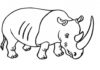 immagine stampabile del rinoceronte
