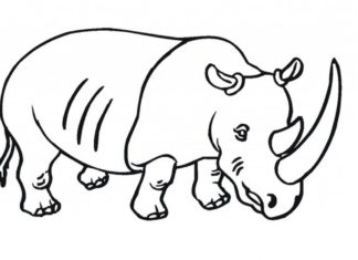 rhino printable picture