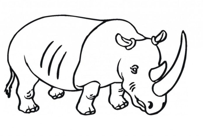 nosorožec obrázek k vytištění