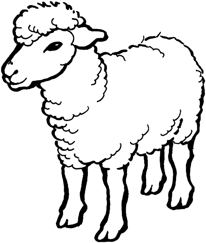sheep printable picture
