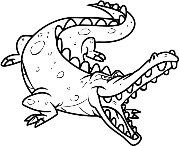 imagem de crocodilo para impressão