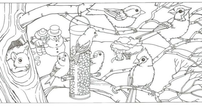 ptáci zimní obrázek k vytisknutí pro děti
