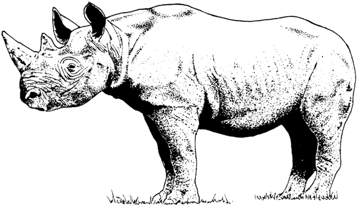 obrázok nosorožca na vytlačenie