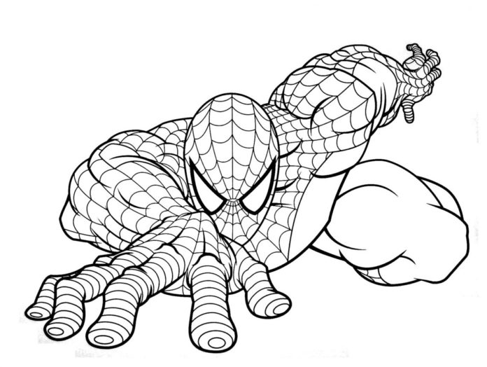 Libro para colorear de Spiderman de los dibujos animados para imprimir y en  línea