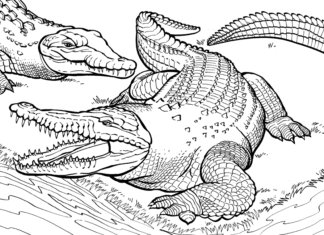 krokodíly obrázok na vytlačenie