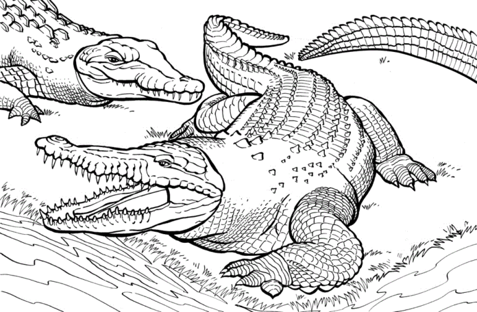 krokodíly obrázok na vytlačenie