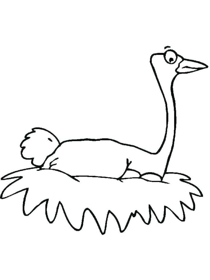 imagen imprimible del avestruz en el nido