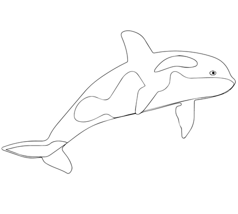 veľryby obrázok na vytlačenie