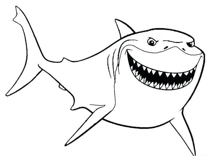 obrázok žraloka na vytlačenie
