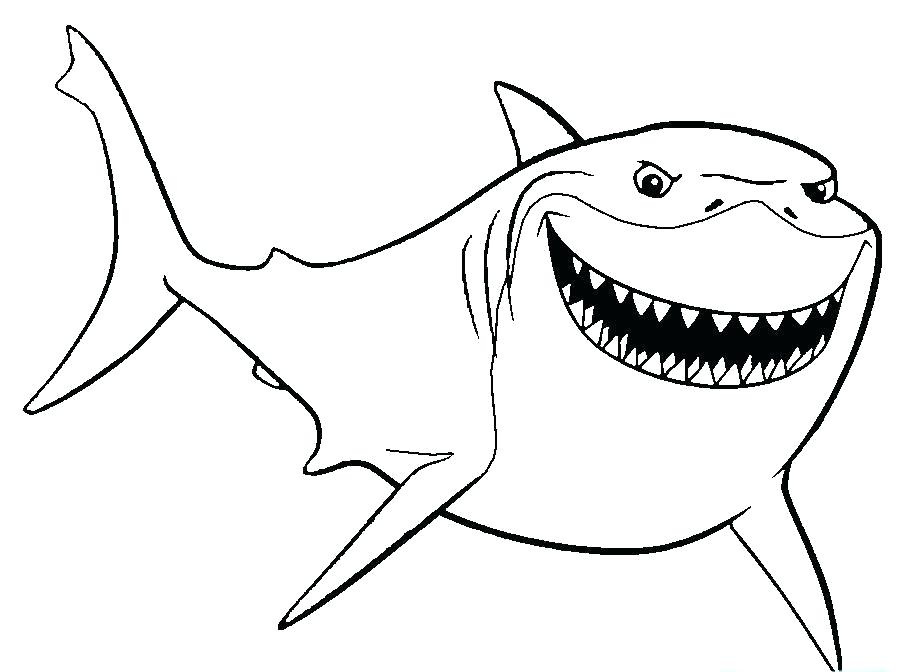 imagen imprimible de un tiburón
