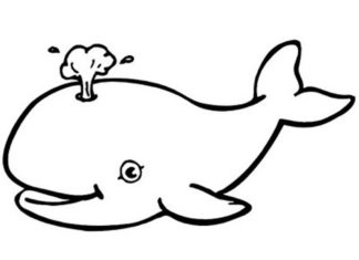 whale printable picture