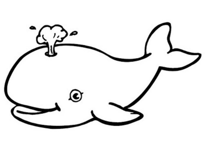 velryba tisknutelný obrázek