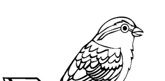 jarný vták obrázok na vytlačenie