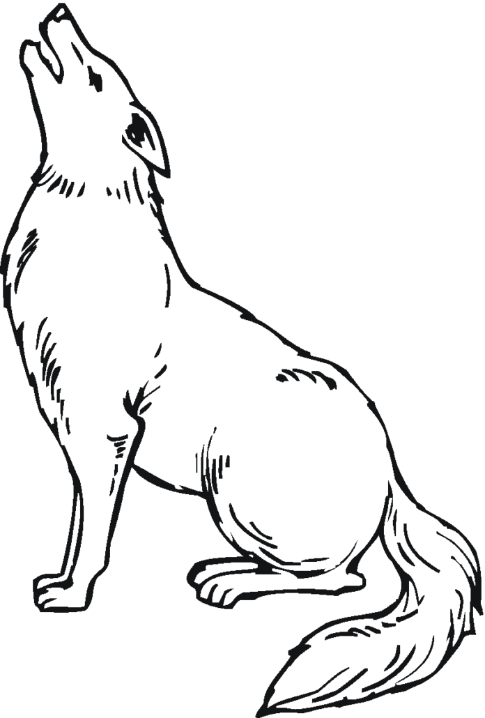 imagem de uivo de coyote para imprimir