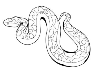 imagen imprimible de la serpiente en zigzag
