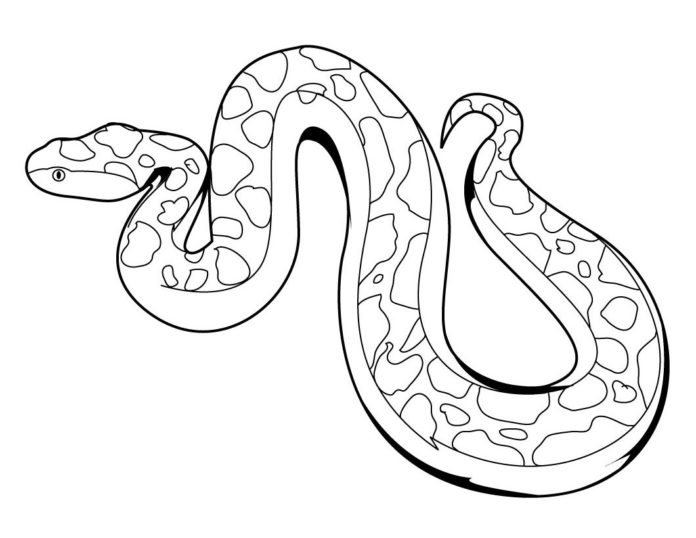 kľukatý had obrázok na vytlačenie
