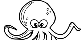 skrútené chobotnice obrázok na vytlačenie