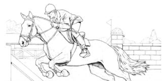 horse competition printable picture