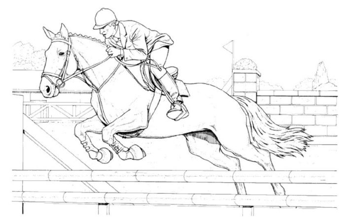 馬の競技の印刷用画像