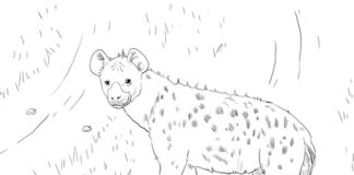 dibujo para colorear de la hiena ciempiés para niños
