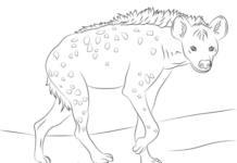 livre à colorier hyène pour enfants