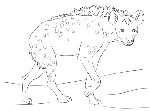 hyena målarbok för barn
