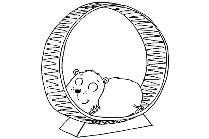 foto imprimível em hamster