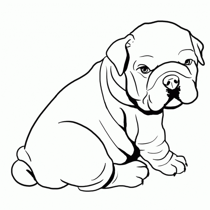 imagem de bulldog para imprimir