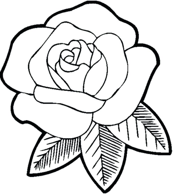 róża obrazek do drukowania