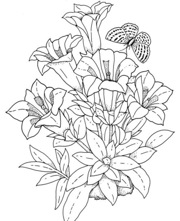 image imprimable de fleurs