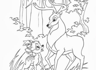 bambi srna obrázek k vytištění
