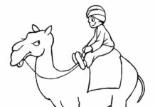Camel coloring book picture to print
