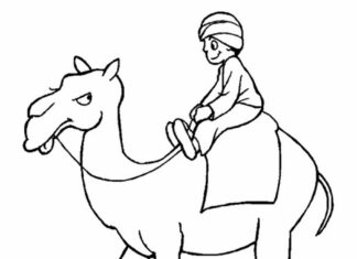 Camel colouring book printable picture