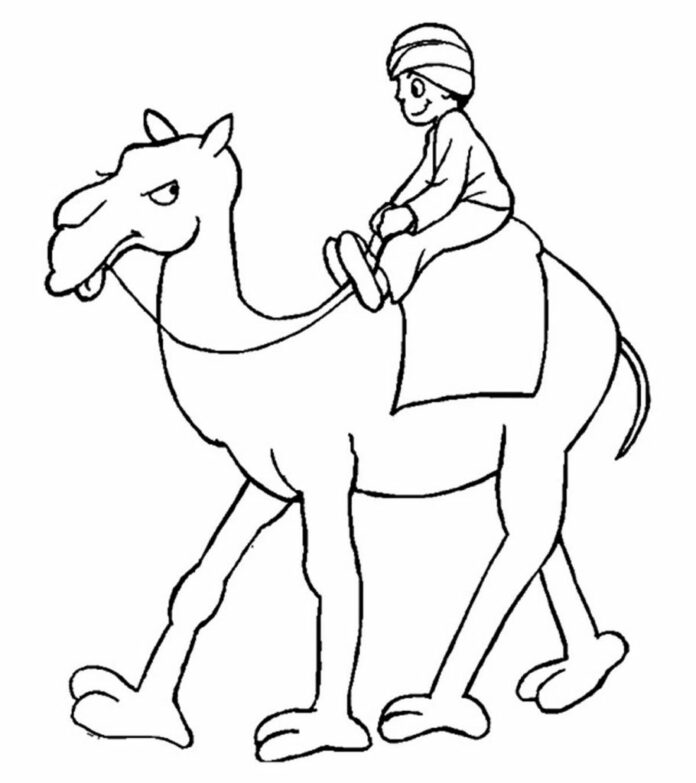 Camel colouring book printable picture