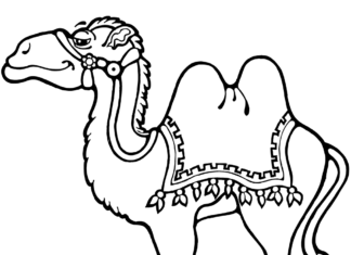 imagen imprimible de un camello