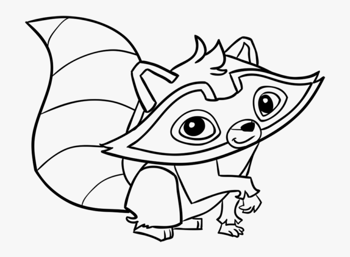 Raccoon coloring book picture to print