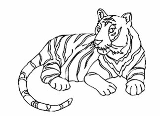 tiikeri värityskirja tulostettava kuva