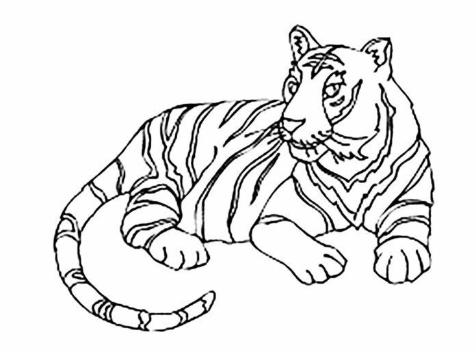 虎の塗り絵 印刷用画像