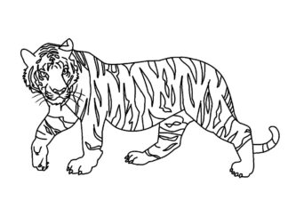 livro de tigre para colorir imagem imprimível