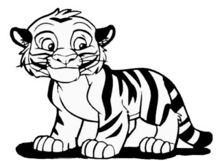 tygrys kolorowanka obrazek do drukowania