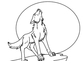 wolf coloring book printable picture